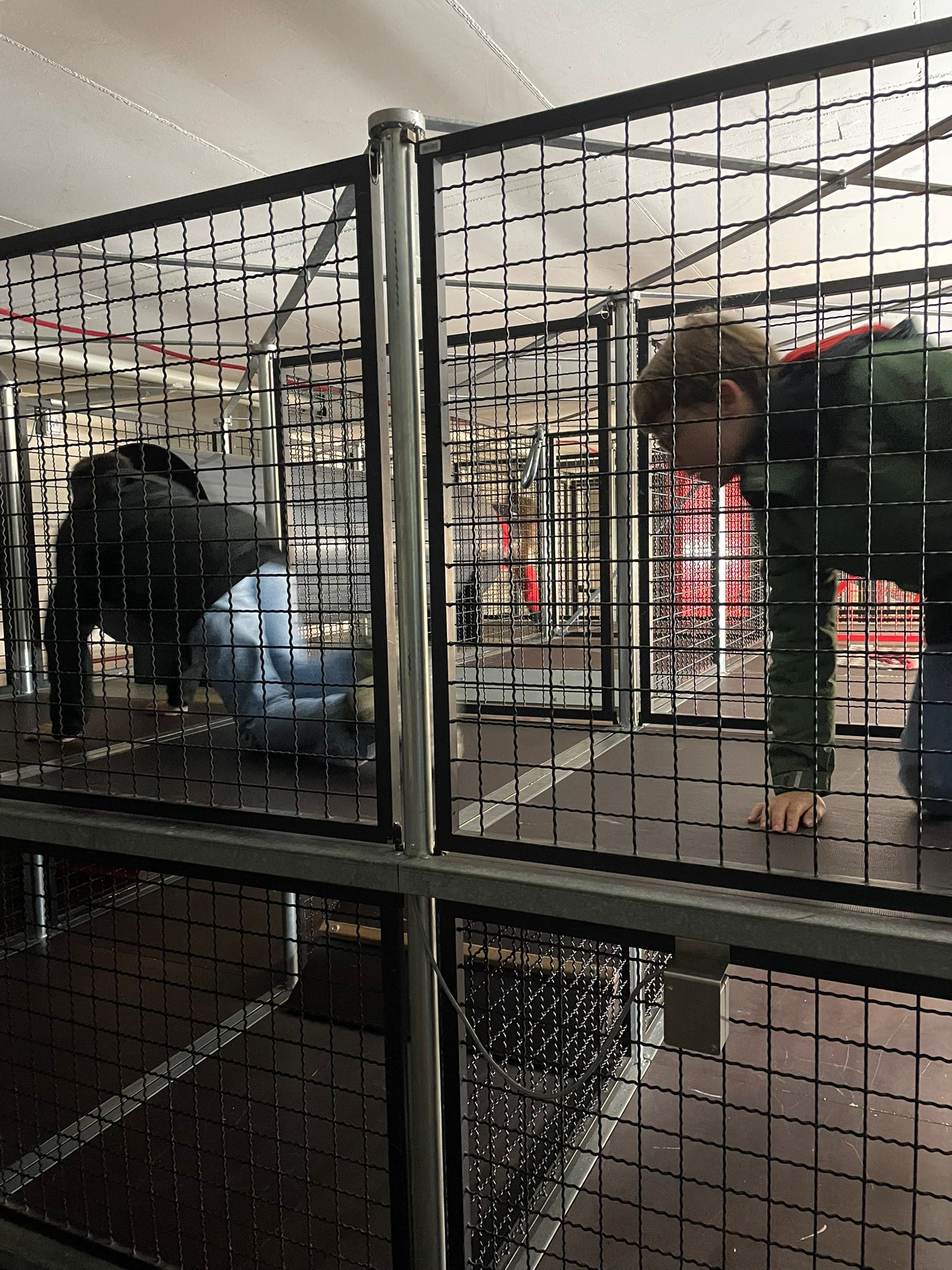 PHOTO 2025 10 25 17 06 17 2