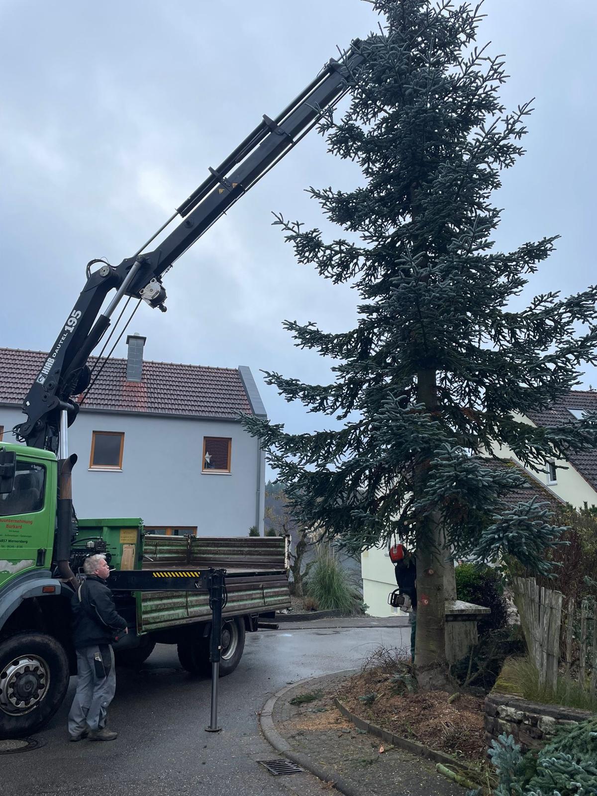 PHOTO 2025 11 29 11 55 31